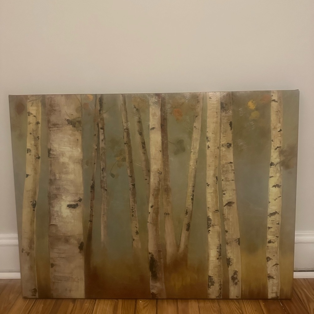 Birch Tree Canvas Art